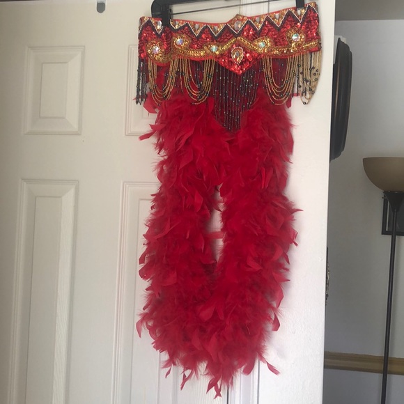 Gently worn custom made showgirl/carnival costume - Picture 7 of 14